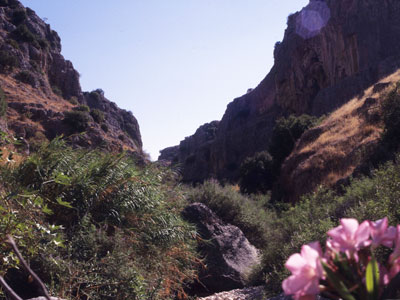 [...] wie auch meine Abschiedsbesuche bei unseren Straußenvögeln oder im Canyon.