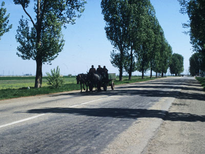 [...] zu dieser Zeit nicht der langsamste Verkehrsteilnehmer [...].